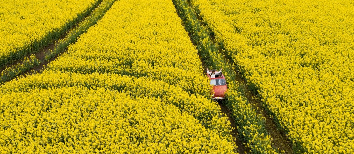 Konfirmation Billede